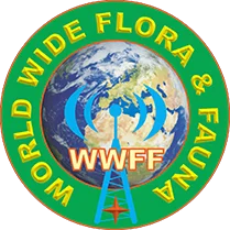 World Wide Flora & Fauna